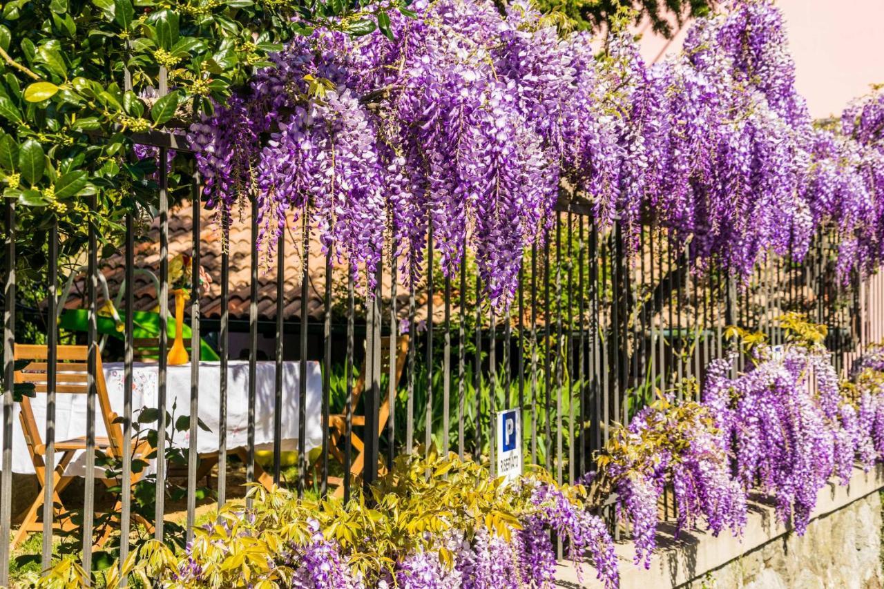 B&B Il Glicine Molare Cremolino Exterior foto